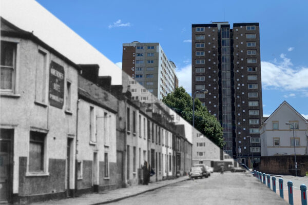 Angelina Street