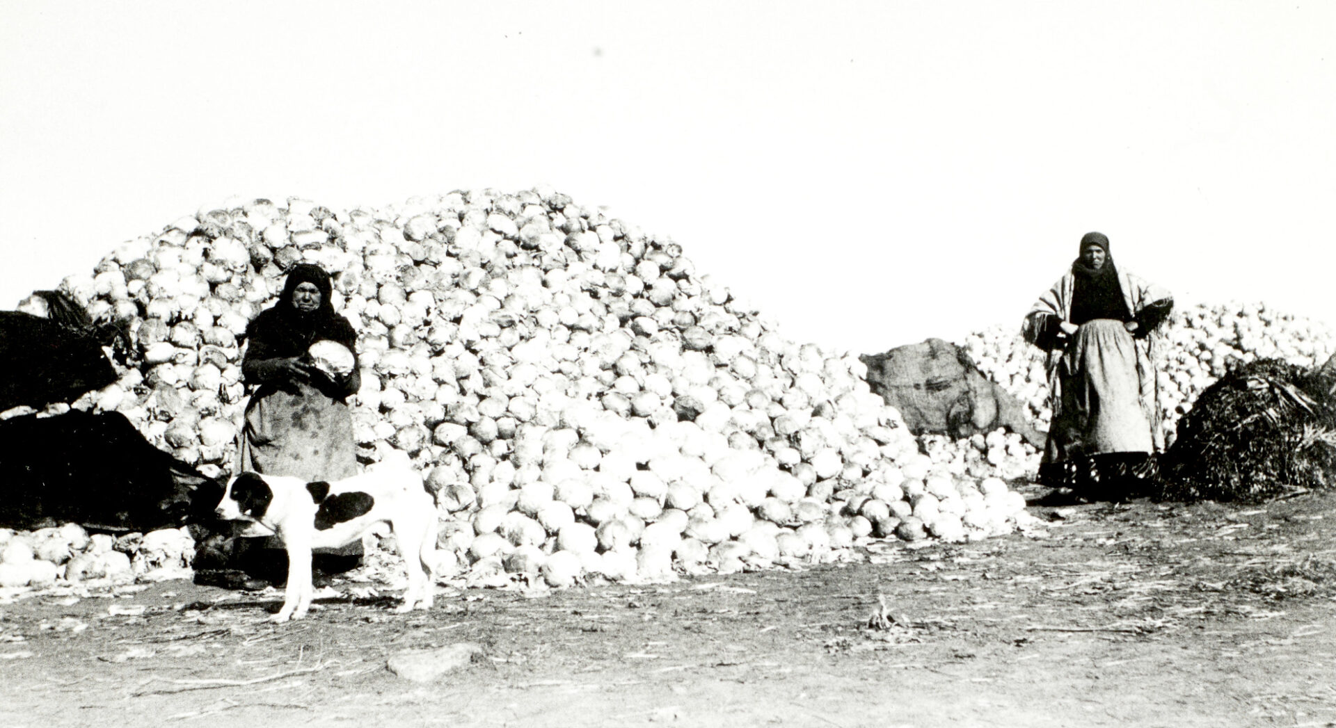 D381/4/33 Ukrainian women with piles of produce