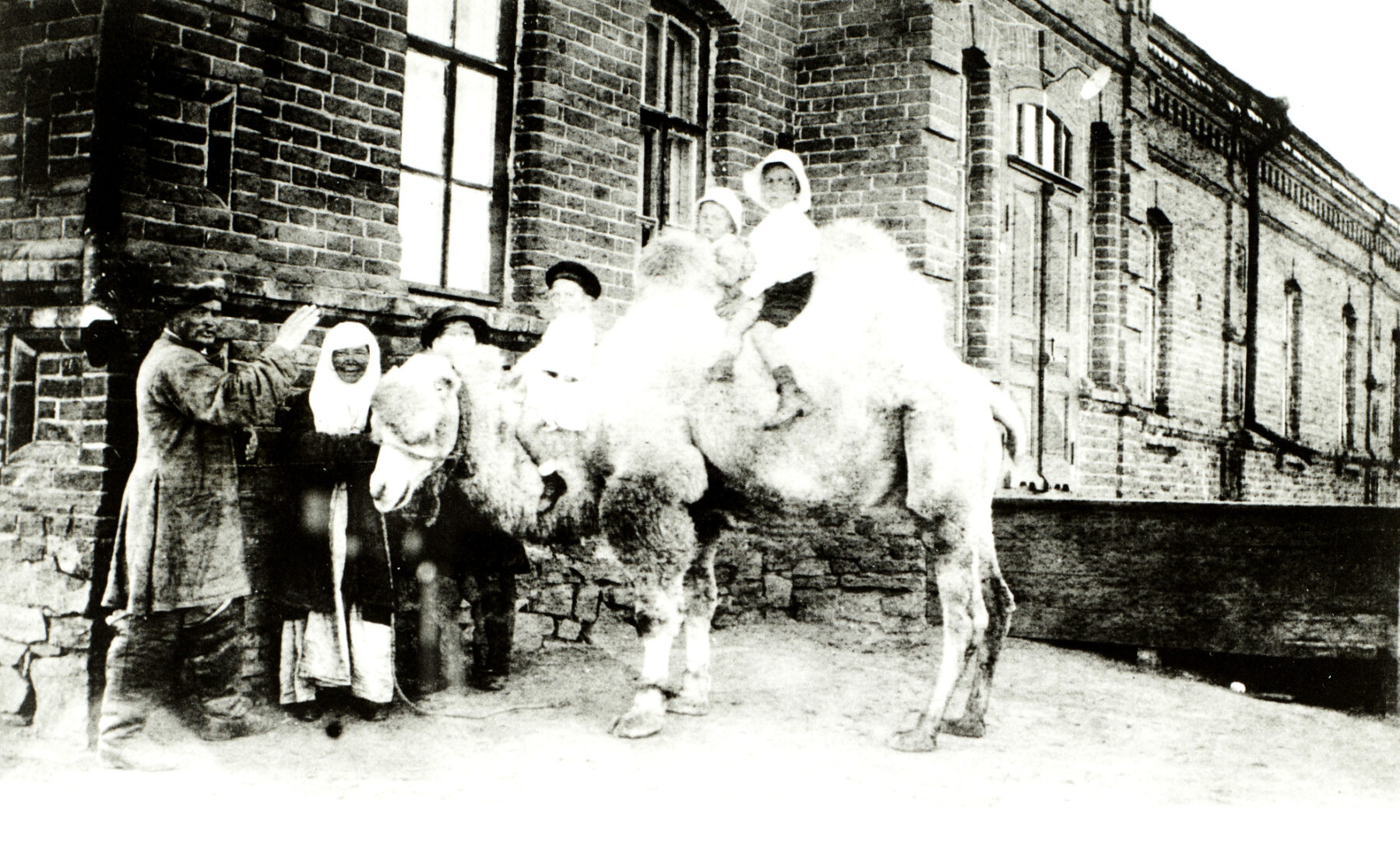 D381/4/95 Riding a camel