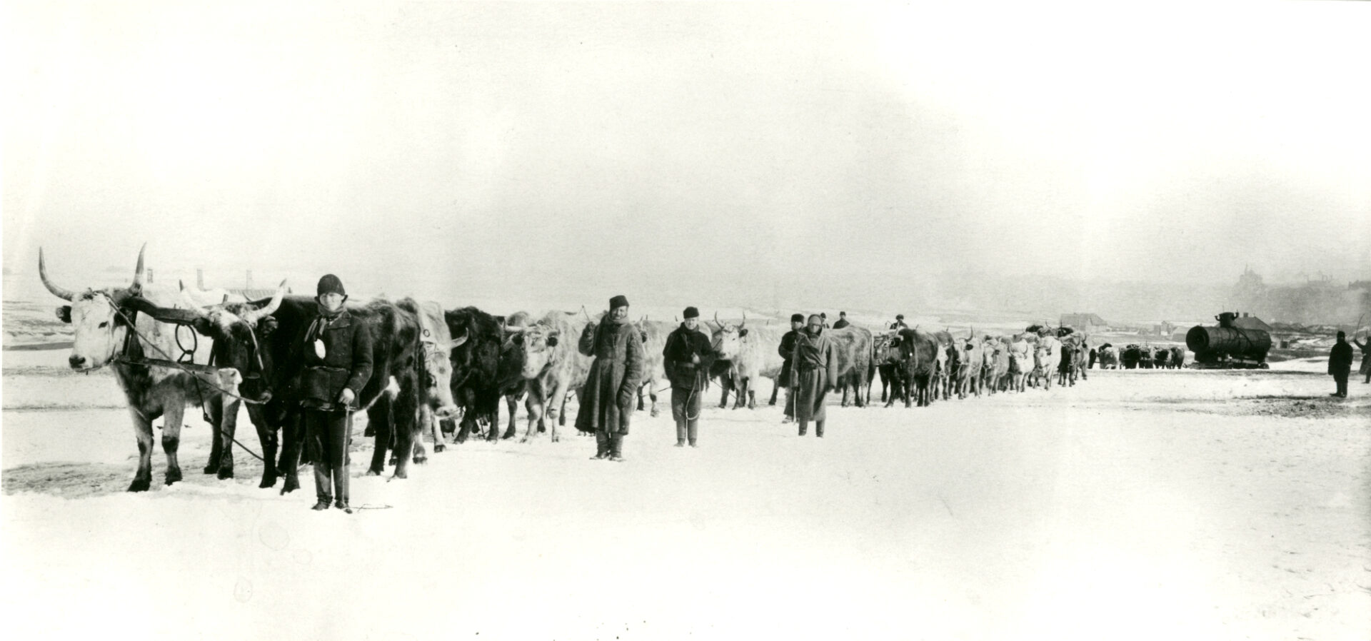 DX726/18 Bullock train hauling boiler across snow-covered steppe, Hughesovka works and Orthodox church in background, c1910