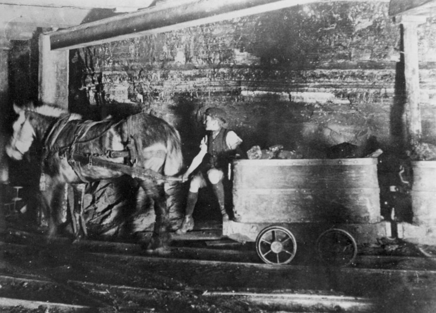 Light Pony and trap underground